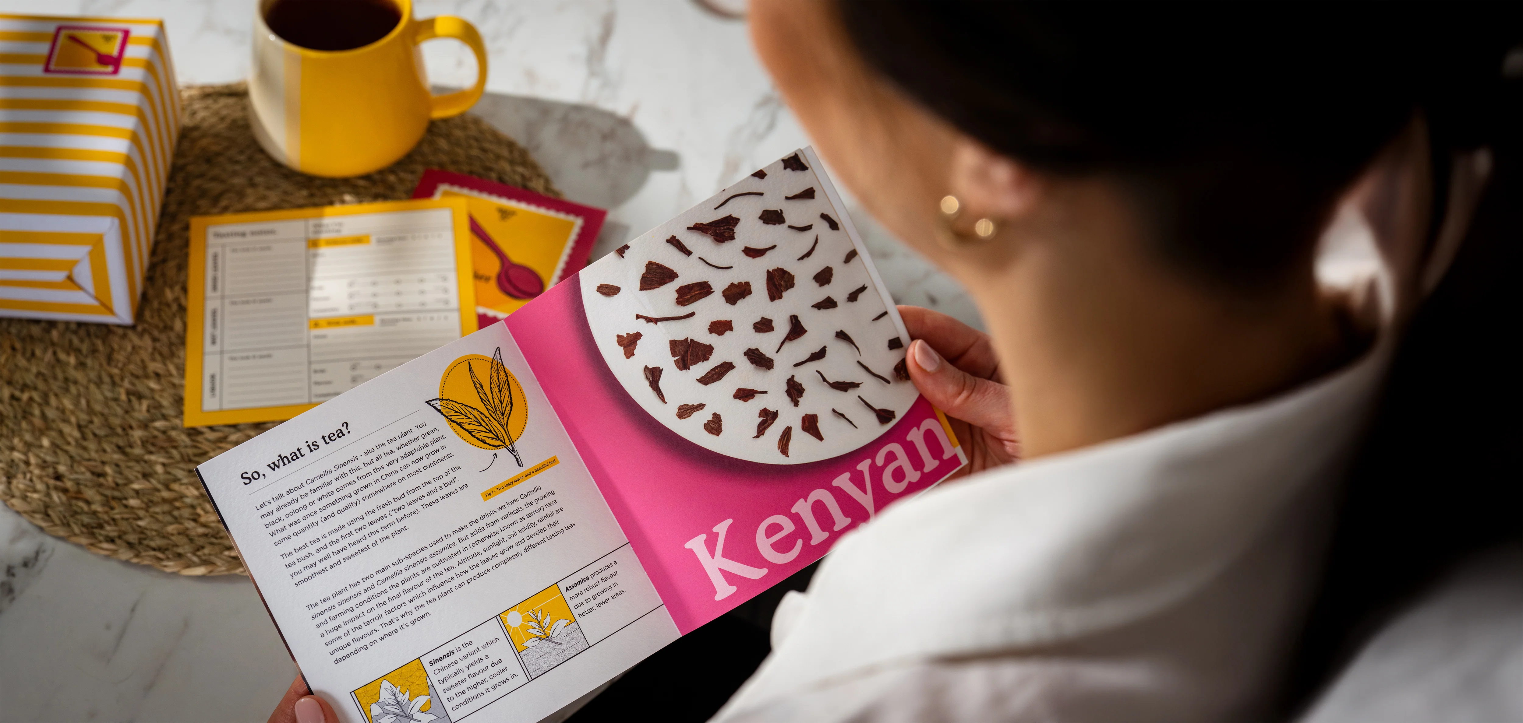 The Sommelier - Test - Image 4